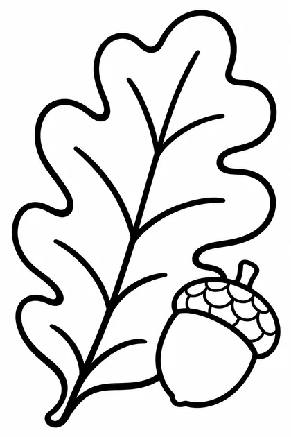 Coloriage de La feuille de chêne à imprimer